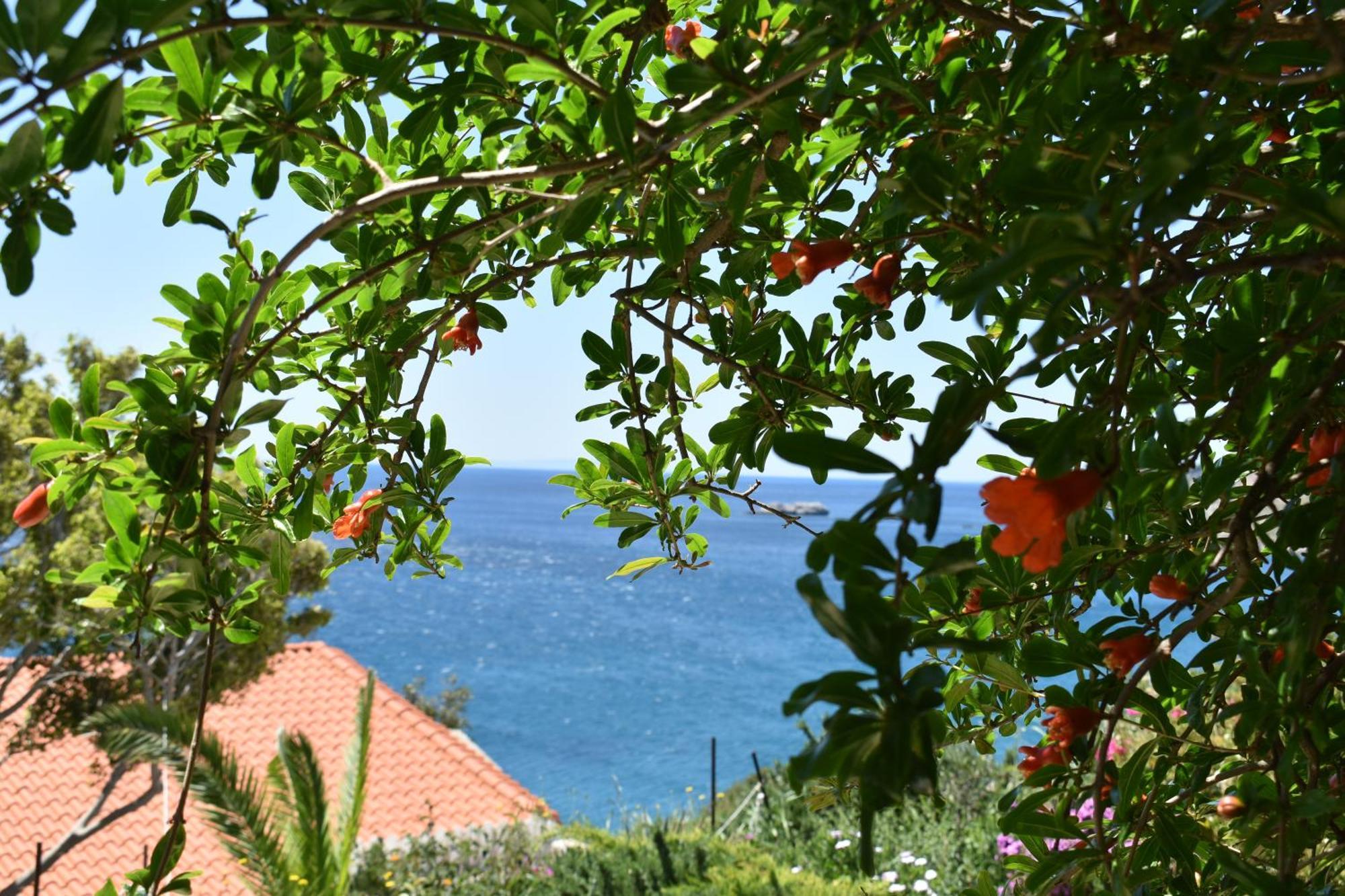 Voukelari Rooms Plakias Buitenkant foto